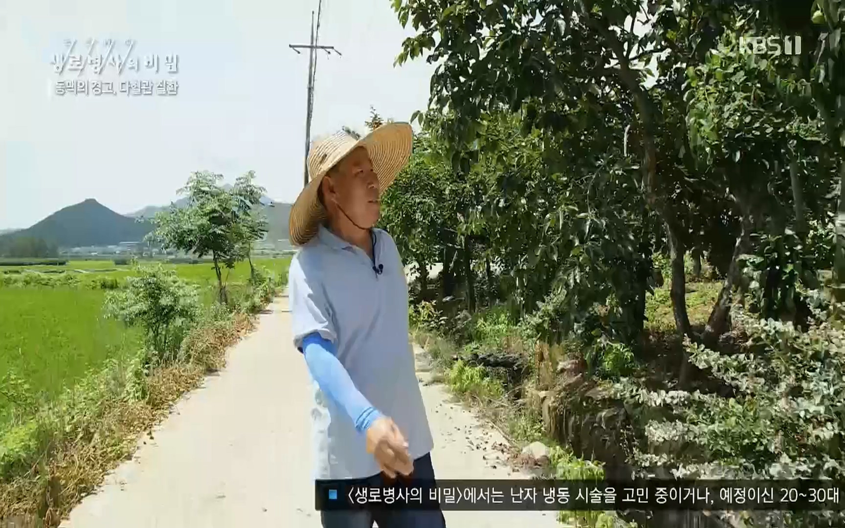 생로병사의 비밀.E831.220817p.H264-F1RST.mp4_20220822_185312.811.jpg