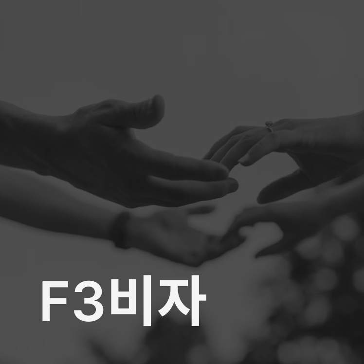 F3비자