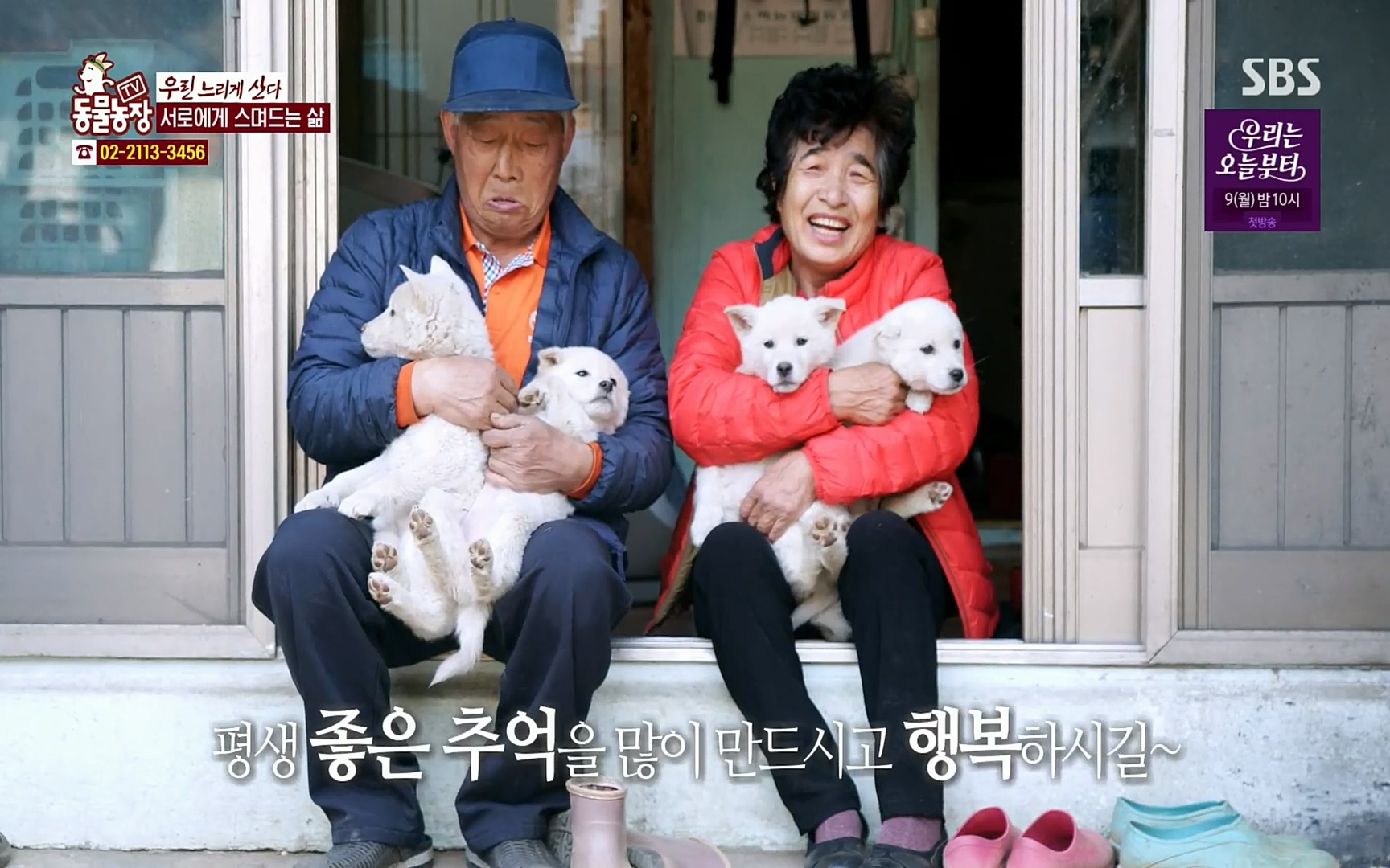 TV 동물농장.E1067.220501p.H264-F1RST.mp4_20220501_184804.120.jpg