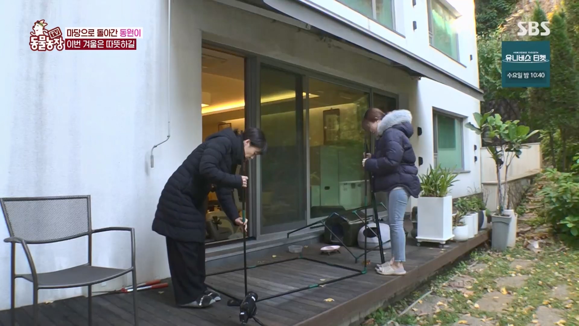 TV 동물농장.E1148.231203p.H264-F1RST.mp4_20231203_165836.648.jpg