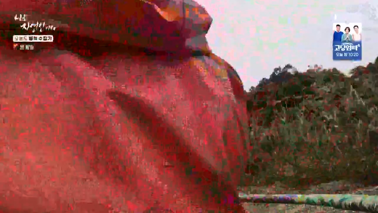 나는 자연인이다.E578.231102p-NEXT.mp4_20231102_202940.275.jpg