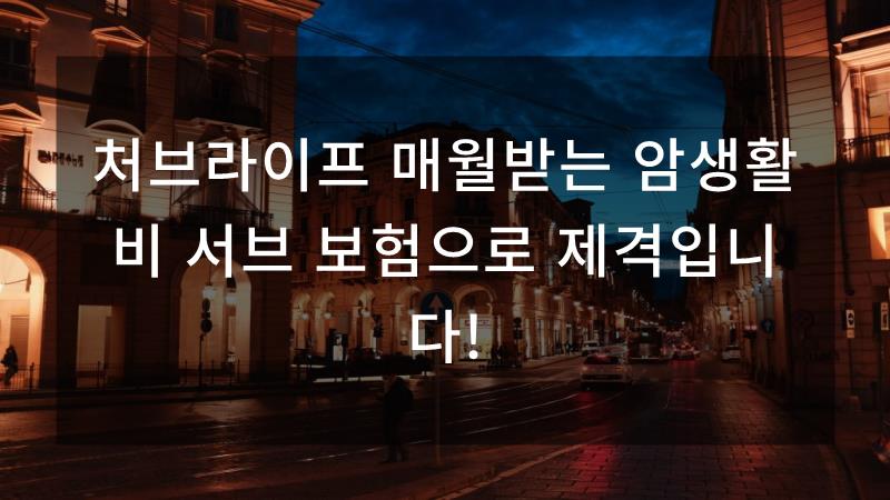처브라이프매월받는 암생활비 3