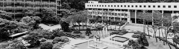 서강대학교 (서강대)