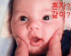  [혼자 아니면] 같이