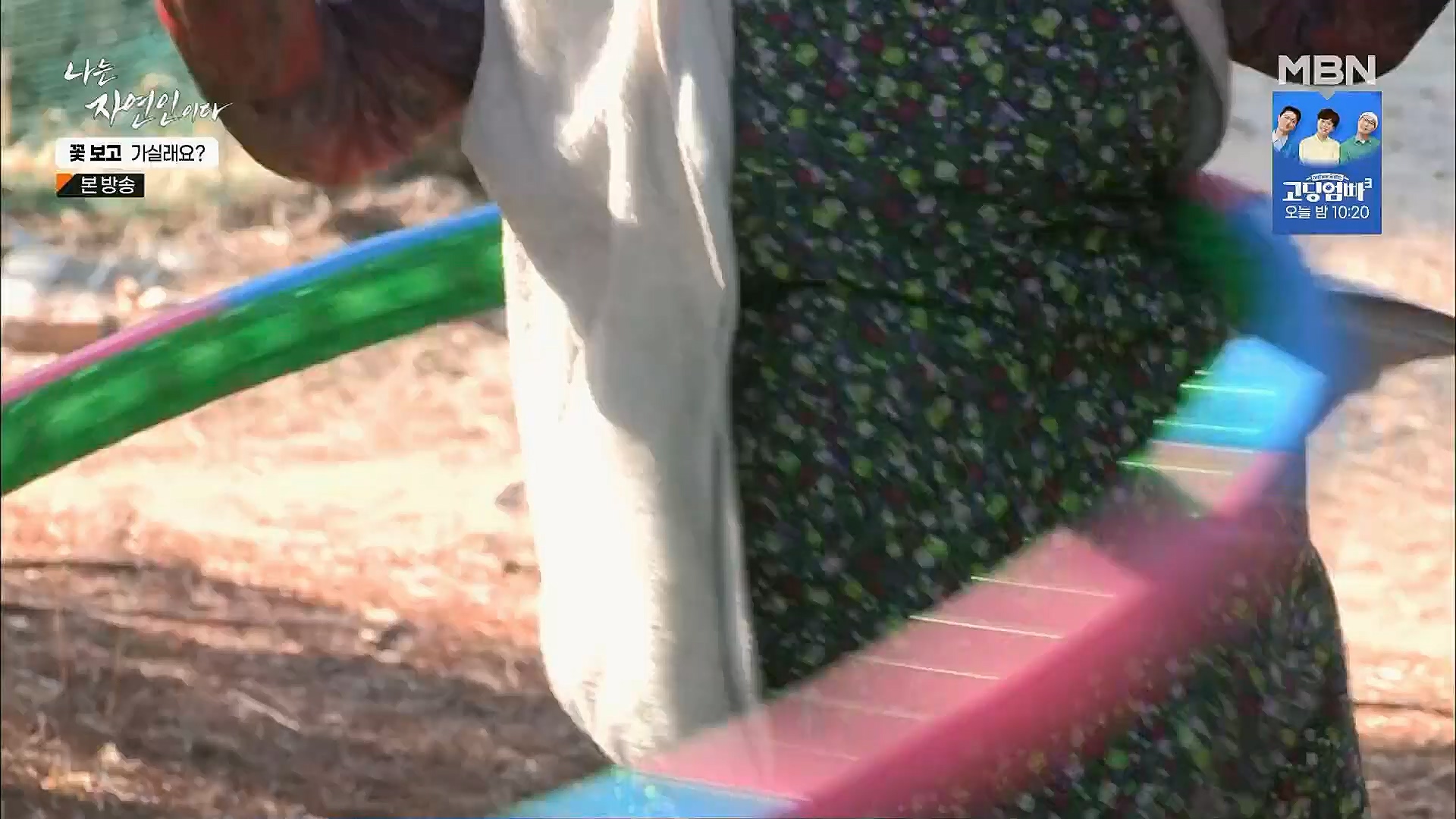 나는 자연인이다.E545.230315p.H264-F1RST.mp4_20230316_212117.729.jpg