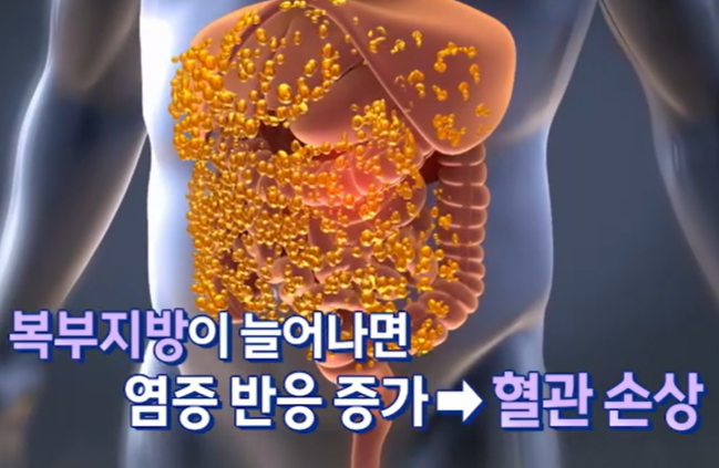 대마종자유 효능