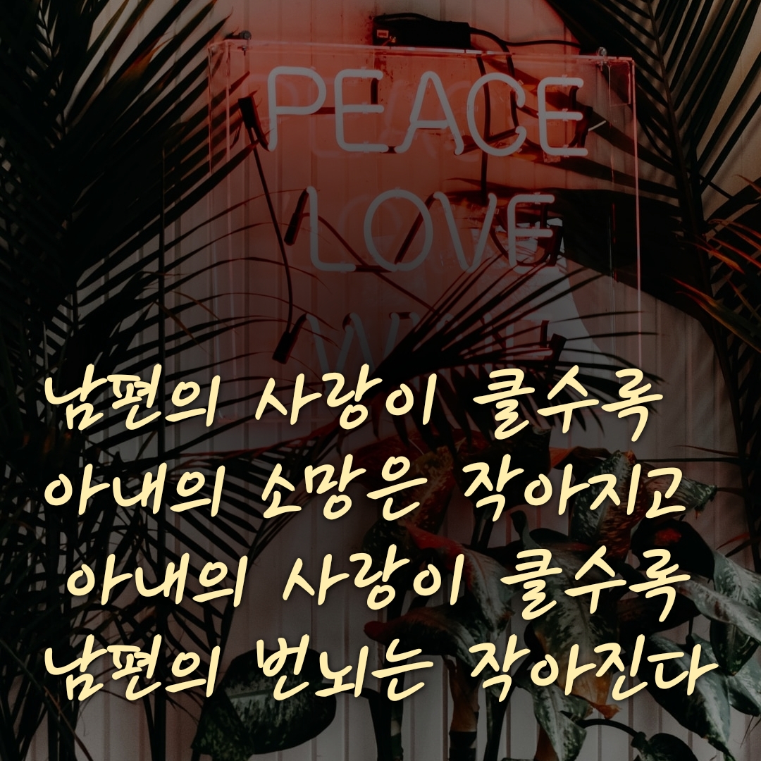  다시 데워 먹으면 안 되는 음식 5가지