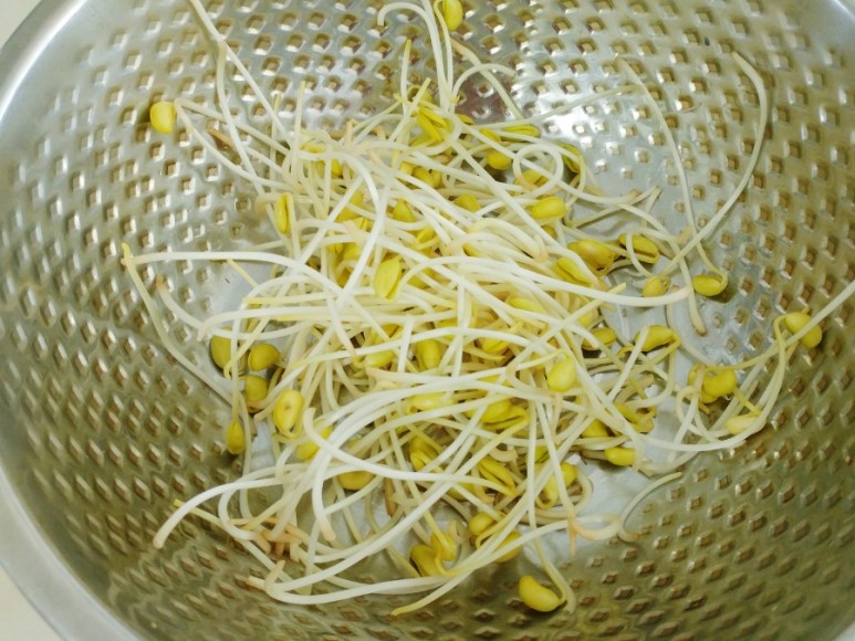 이게 뭐가 그렇게 행복해요? 아이와 함께 콩나물 키우기 11