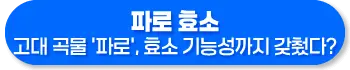 파로 효소 효능, 먹는법