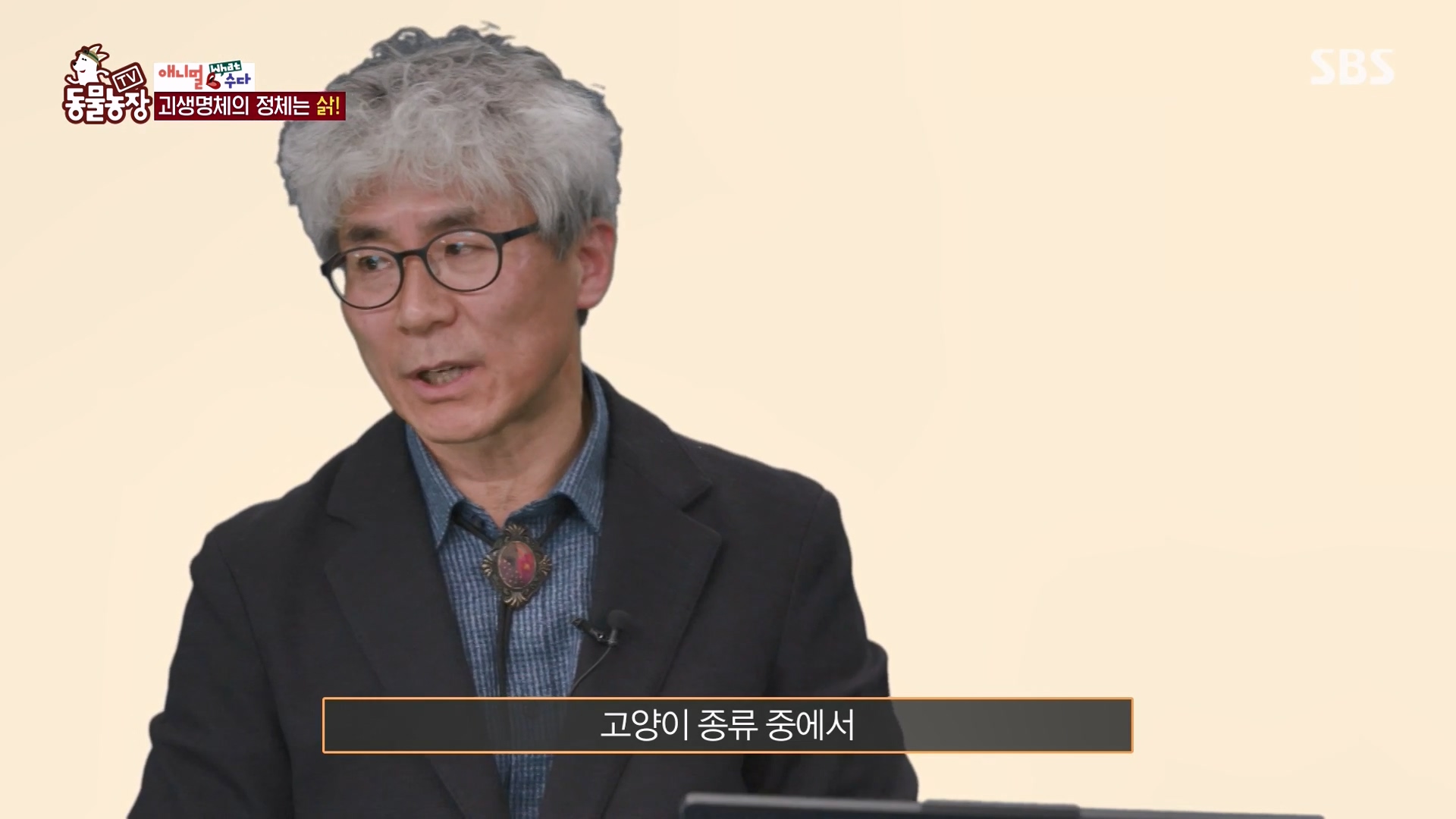 TV 동물농장.E1164.240324p-NEXT.mp4_20240324_170449.134.jpg