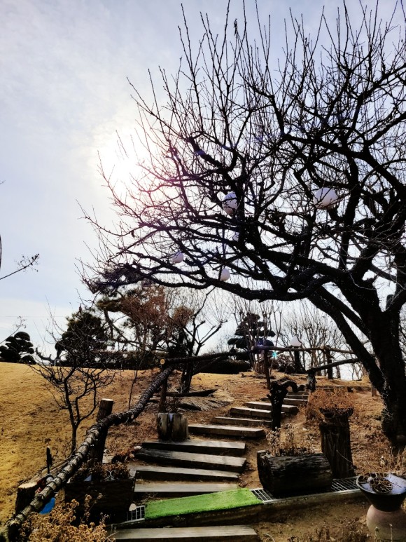 한정식 맛집 목향 행주산성 근처 퓨전 11