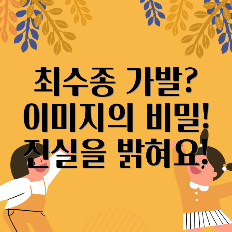 최수종 가발