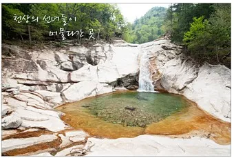 인제 가볼만한곳 베스트10 현지인 추천 필수코스_8