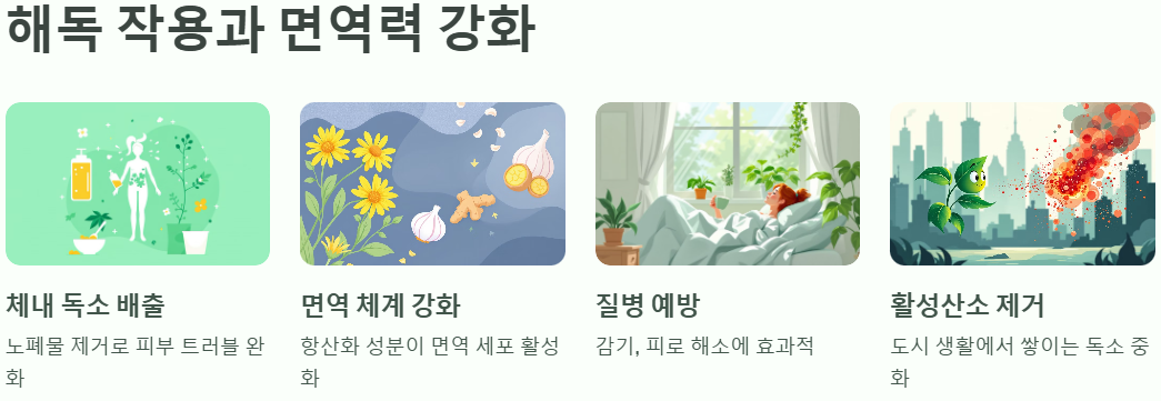 해독 작용과 면역력 강화