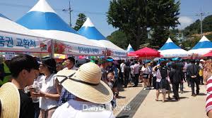 제14회 장기 산딸기랑 농수산물 문화축제 기본일정과 프로그램 정리