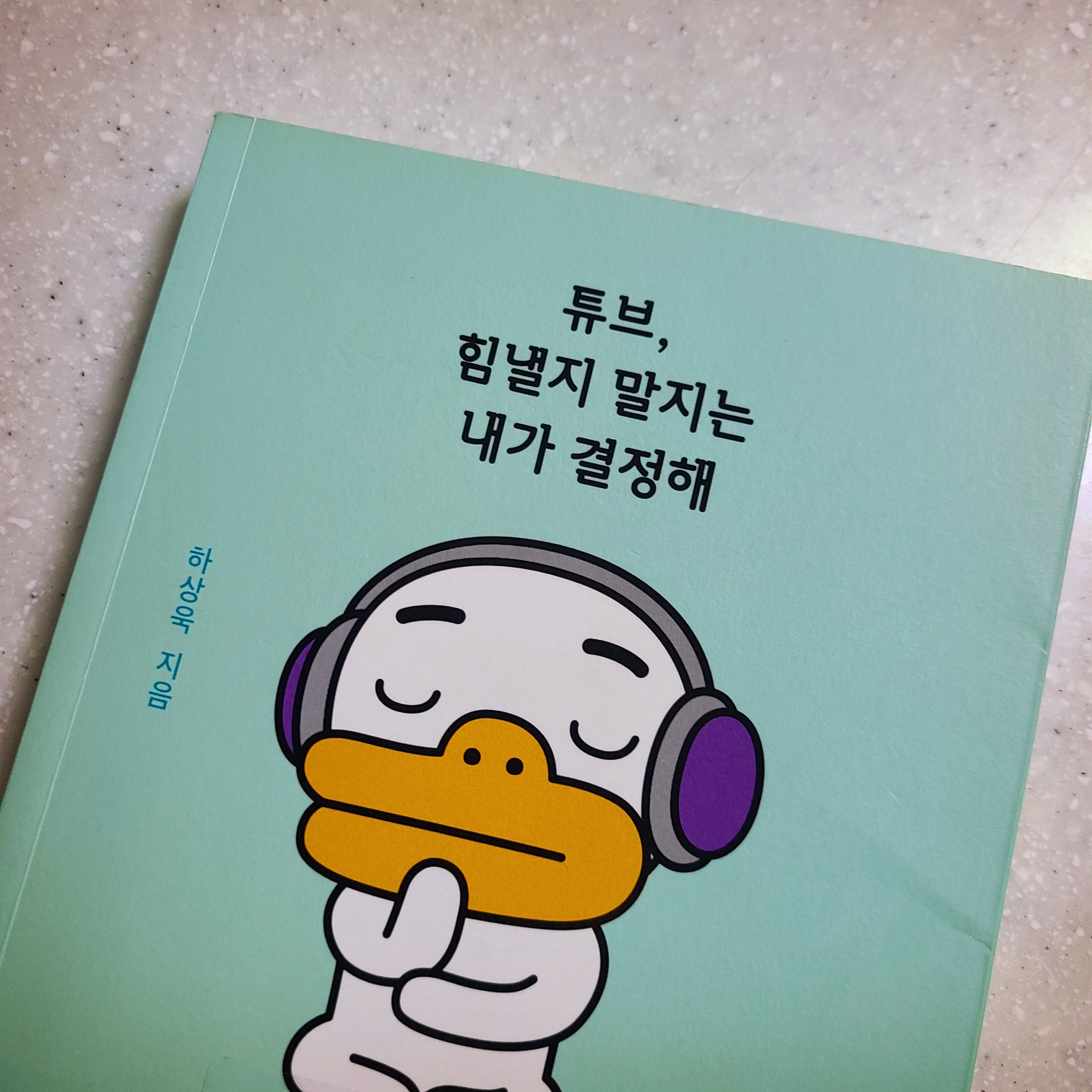  튜브, 힘낼지 말지는 내가 결정해 by하상욱