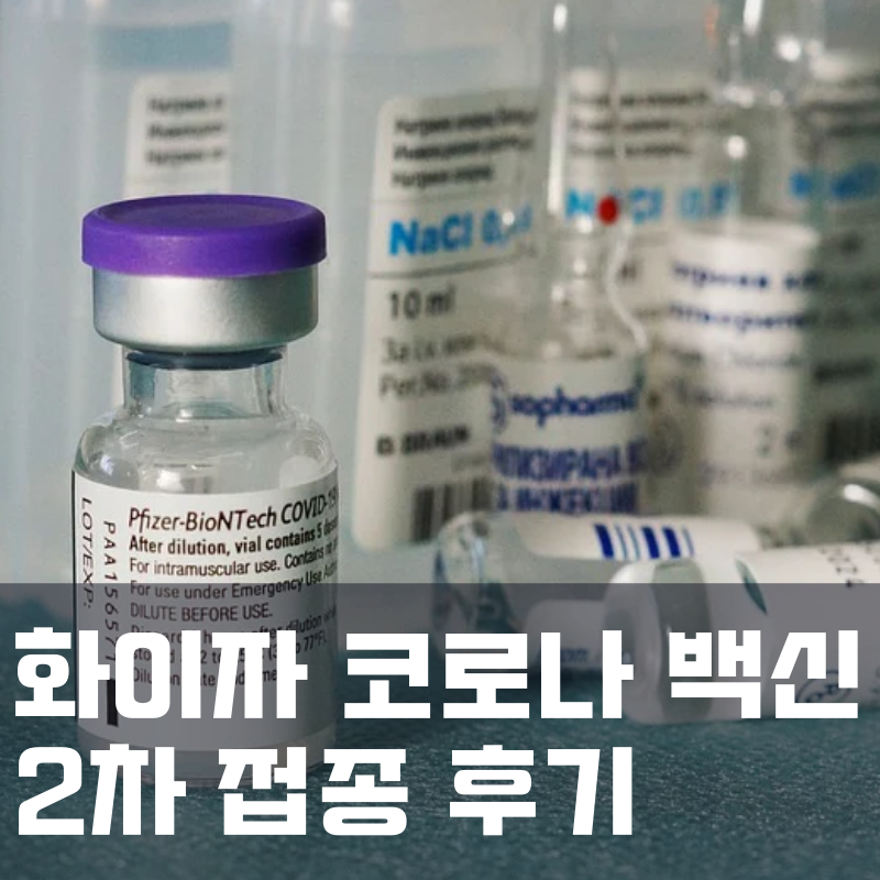  화이자 백신 2차 접종 후기