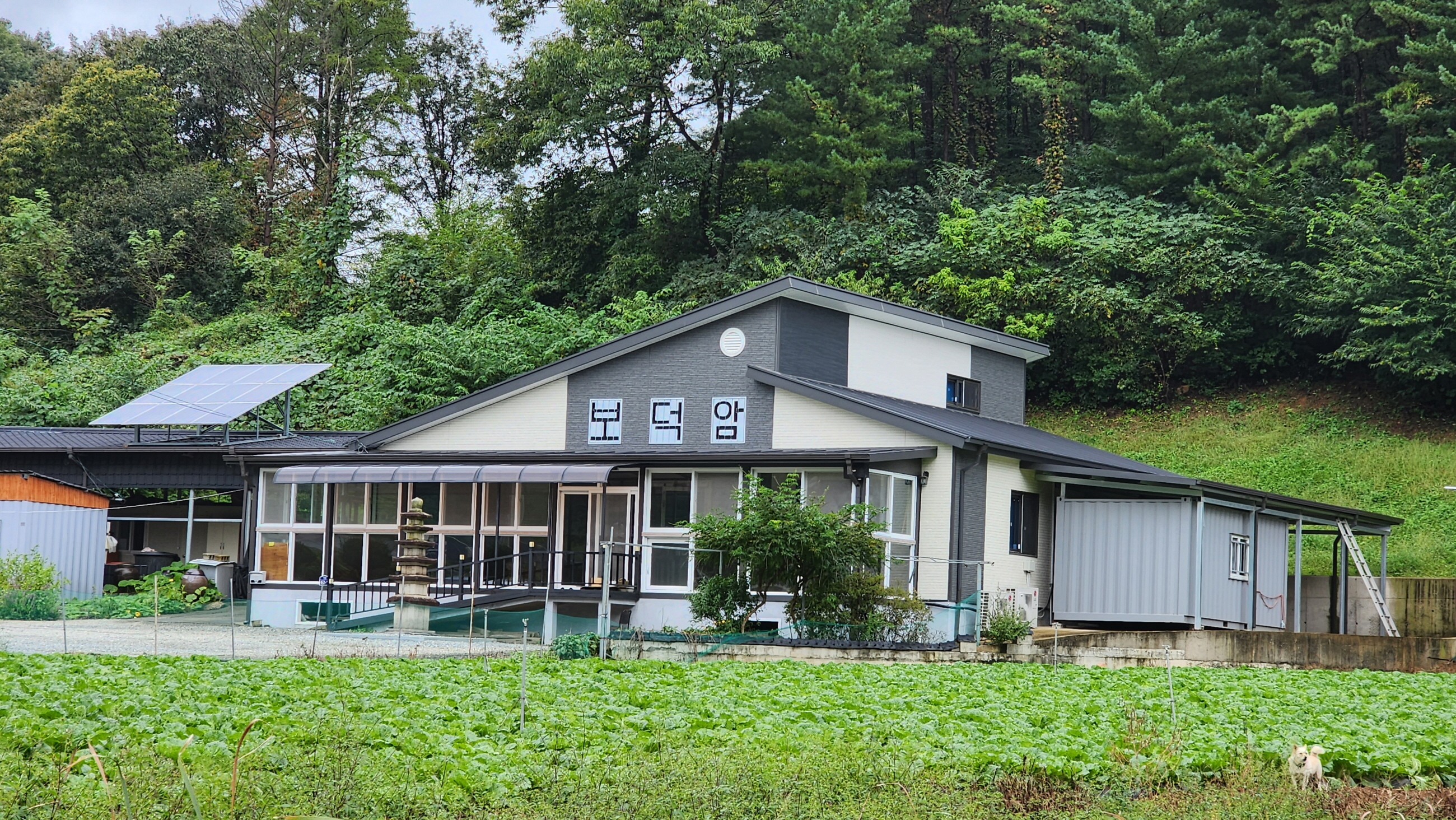 연엽산 이미지