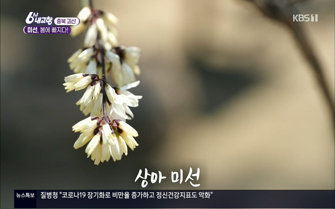 6시 내고향.E7509.220413p.H264-F1RST.mp4_20220418_191726.668.jpg