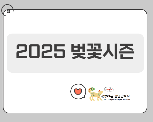 개화시기, 남원에서 벚꽃과 함께하는 봄 여행! 당일치기 코스