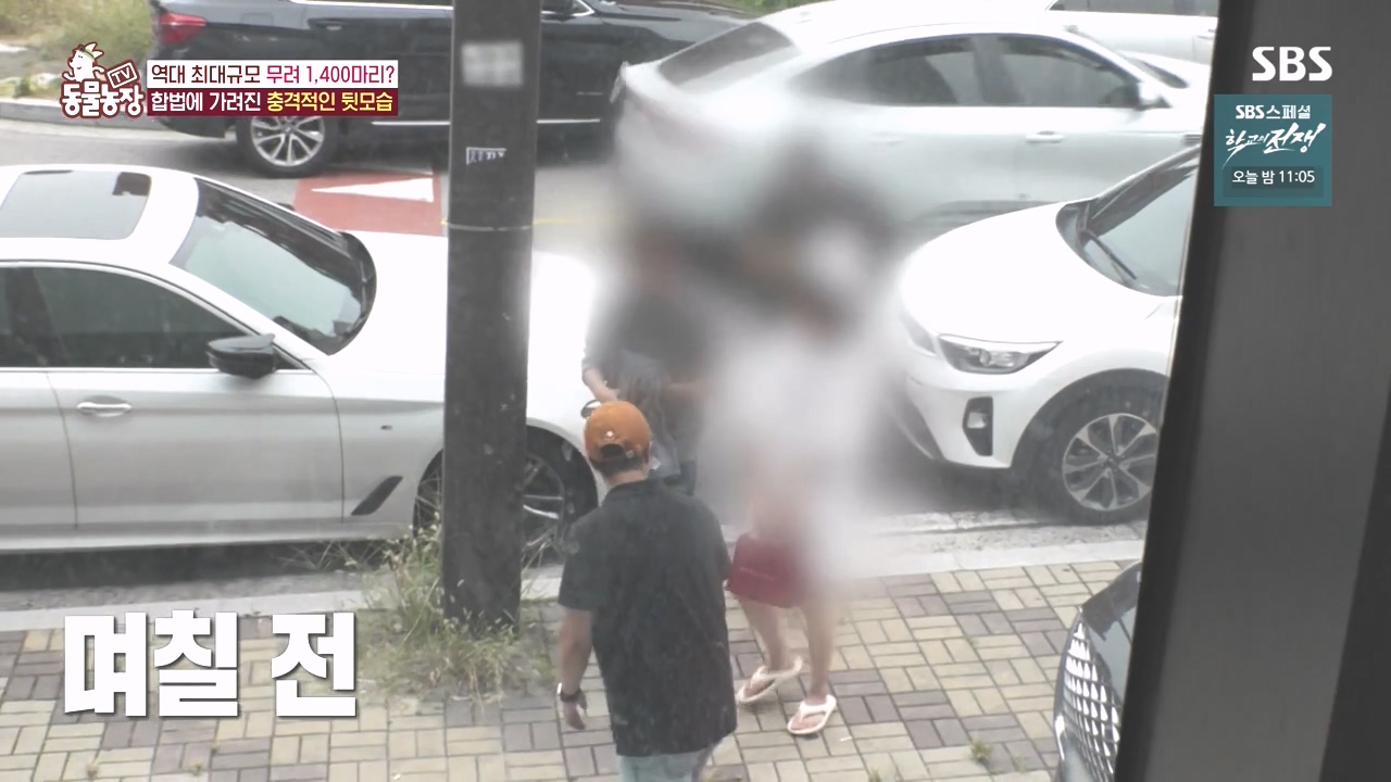 TV 동물농장.E1142.231023p-NEXT.mp4_20231022_172005.220.jpg