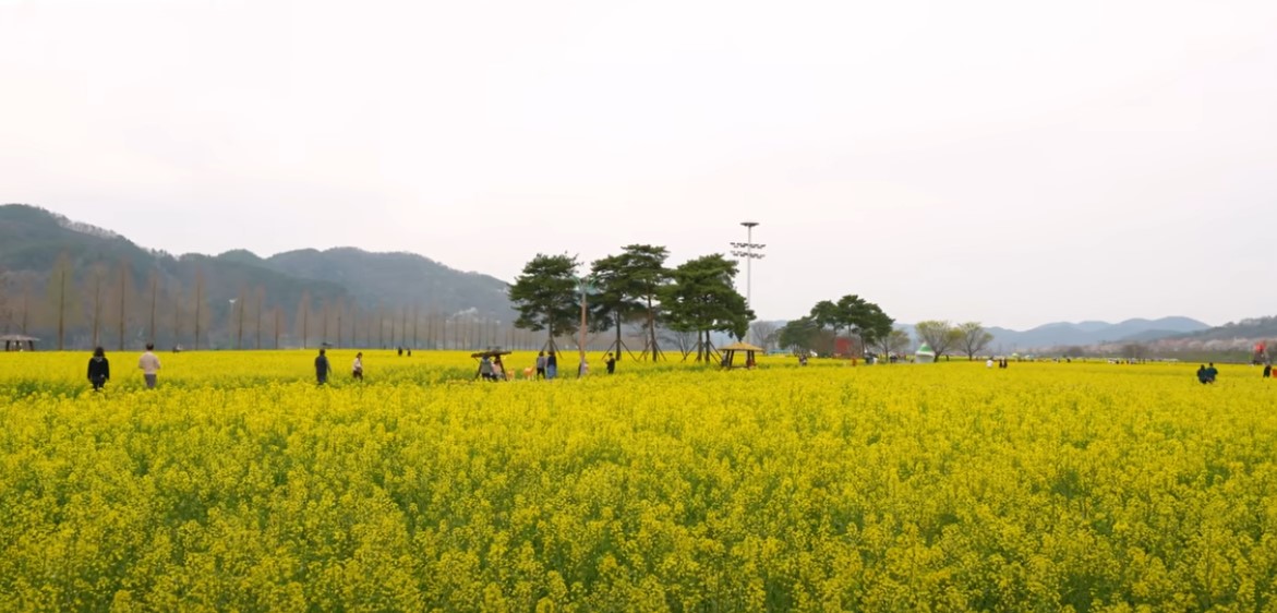 남도 여행지