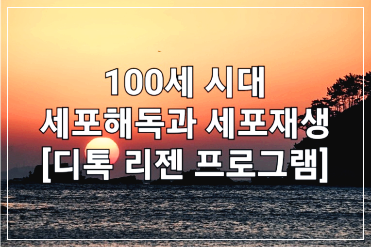 디톡 리젠 프로그램