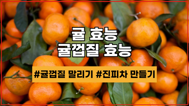  귤 효능 & 귤껍질 효능 그리고 귤껍질의 다양한 활용도