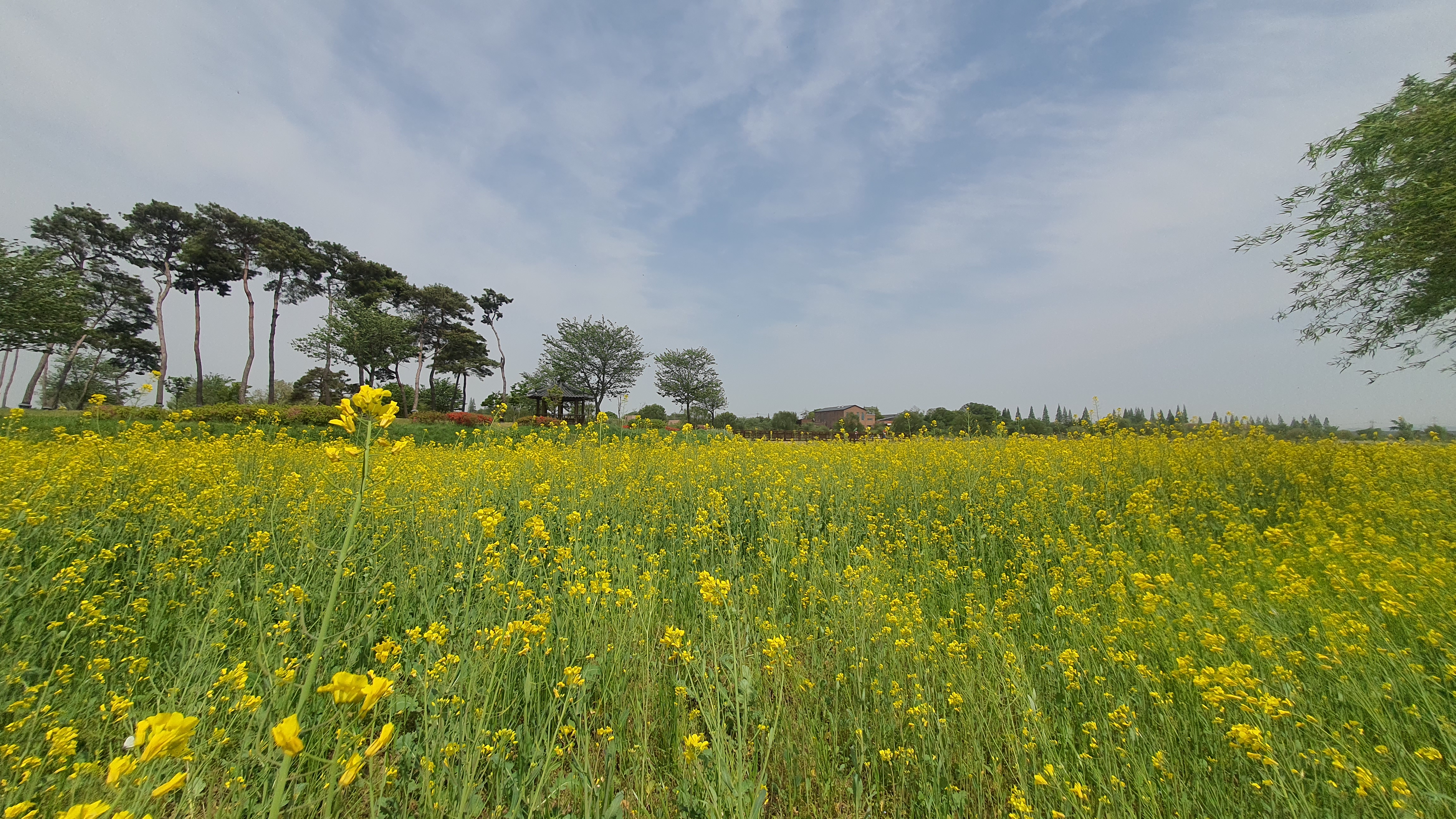 당진 합덕 가볼만한 곳 : 당진 합덕제 수변공원, 합덕제 생태관광체험센터