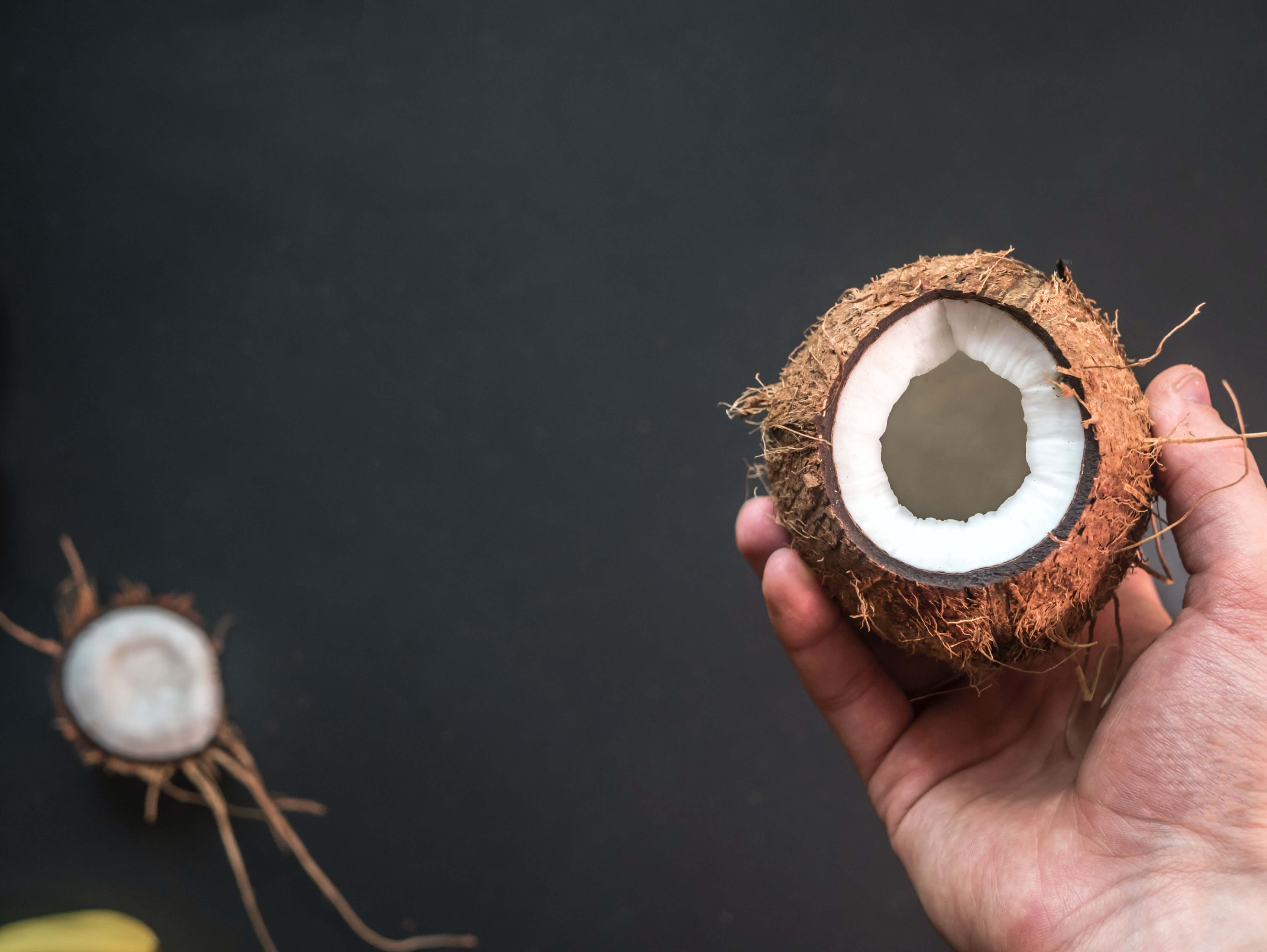 코코넛 사진