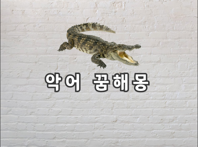  악어 꿈 악어 꿈해몽에 대해서 한번 알아볼게요