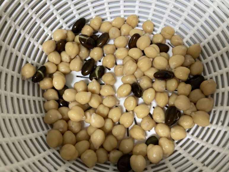 샐러드 및 삶는법 다이어트요리 :: 병아리콩 19