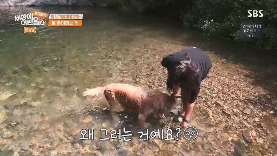 순간포착 세상에 이런일이.E1234.230624p.H264-F1RST.mp4_20230626_211152.817.jpg