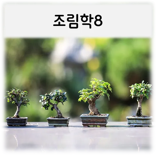 조림학8-분재4개