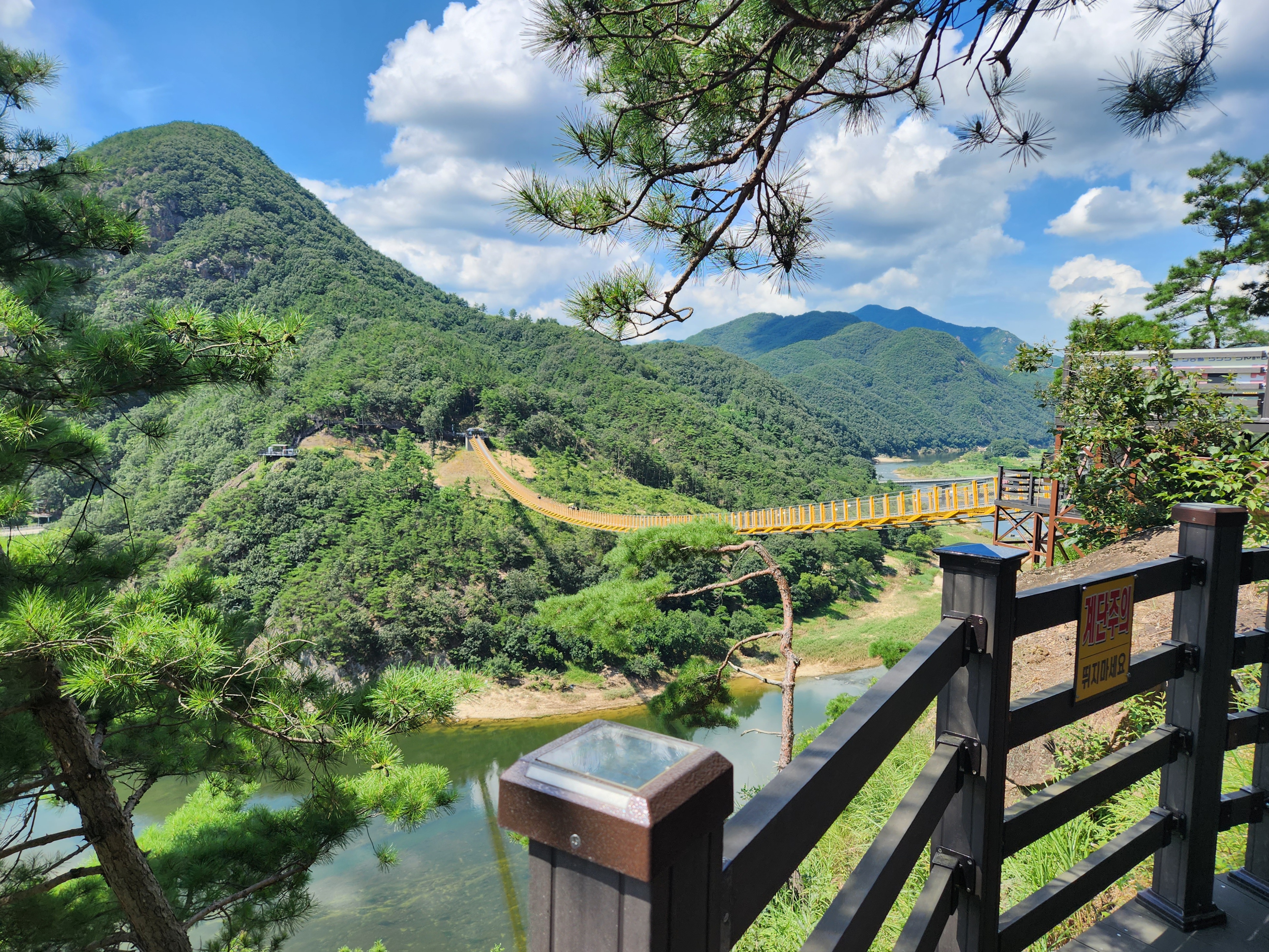 금산 가볼만한곳 월영산 출렁다리