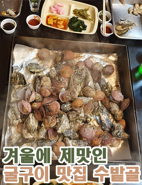  겨울에 필수로 먹어야 하는 굴구이 구산 수밭골