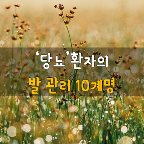 발관리 이미지