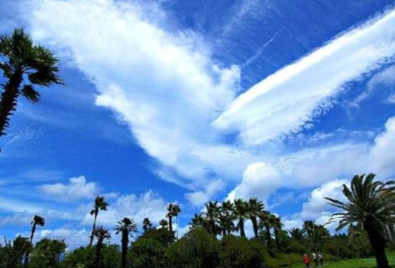 봉황모양-구름