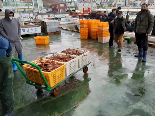 영이네수산 이미지