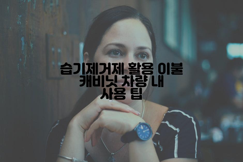 습기제거제 활용 이불 캐비닛 차량 내 사용 팁