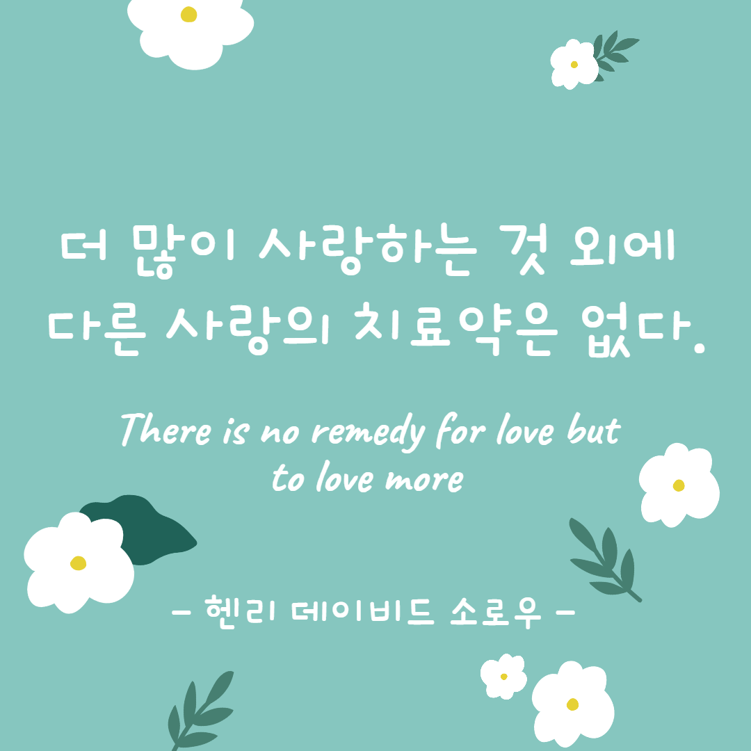 사랑명언 모음이 블로그 다른 글 모음 사랑명언 모음이 블로그 다른 글 모음