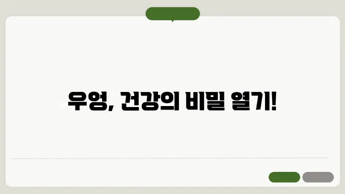 우엉의 다양한 효능과 영양 성분
