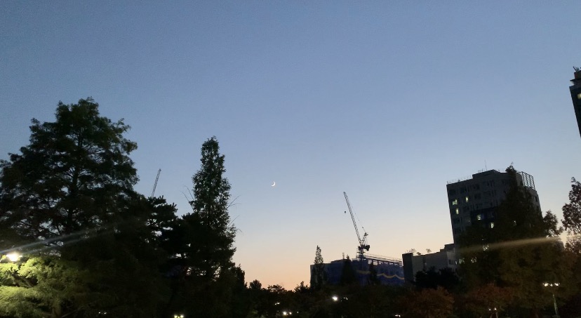  [첫 글 / 내가 한국을 사랑하는 이유]