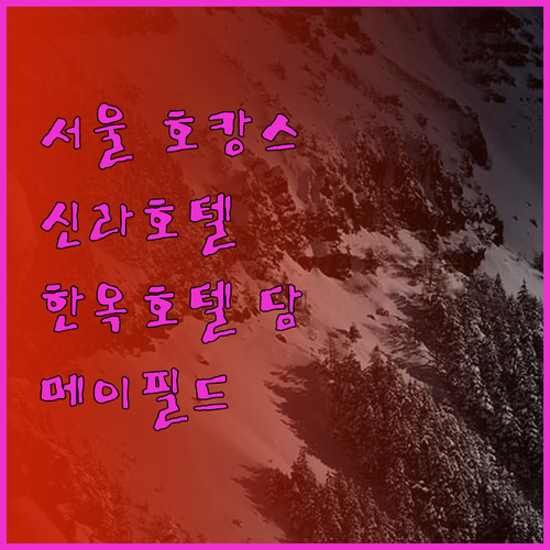서울 호캉스 완벽 분석 서울신라호텔,