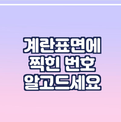  계란에 찍힌 번호