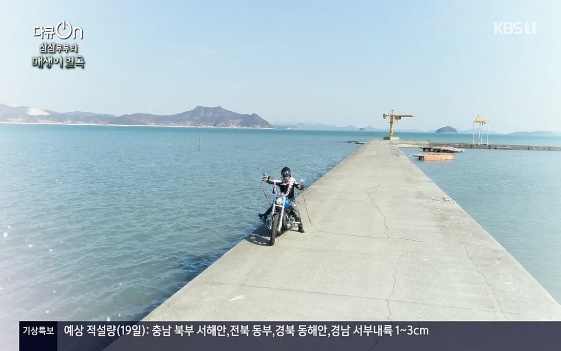 다큐 온.E131p-NEXT.mp4_20220319_174020.013.jpg