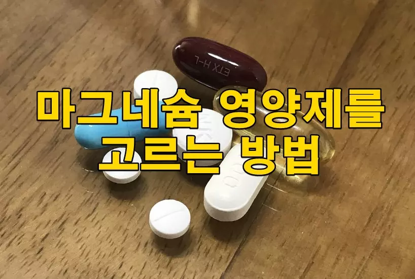 마그네슘 영양제를 고르는 방법