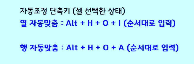 엑셀 셀 크기 자동조정 단축키