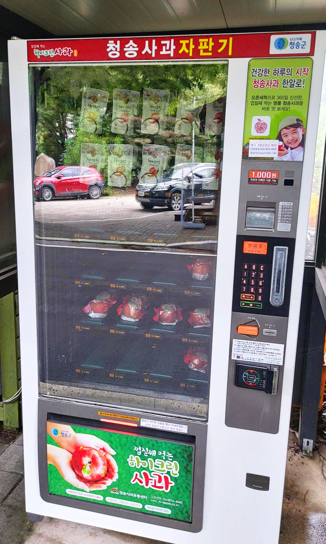경북 청송군 사과자판기