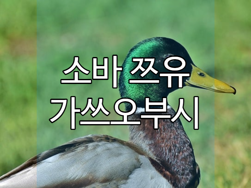 소바쯔유 가쓰오부시 육수